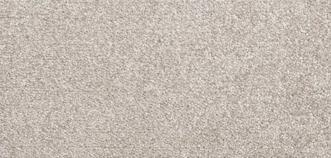 Aria Tordela Carpet Flooring