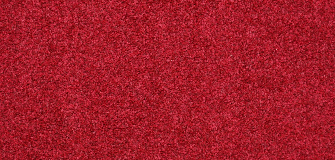 Harmony Bordeaux Carpet Flooring